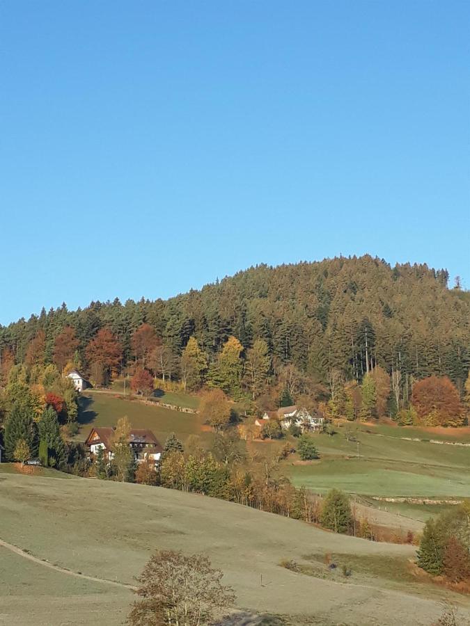 Isoldes Landhaus Baiersbronn Exterior photo